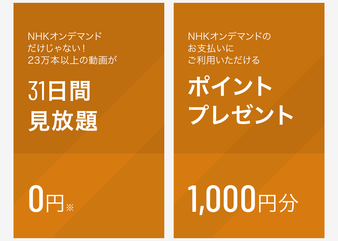 1,000円分のポイントがもらえるんです。