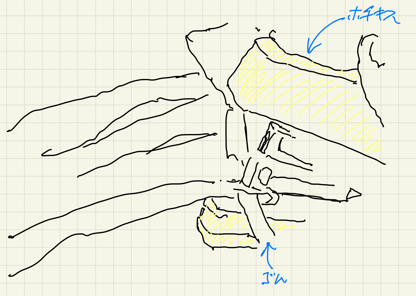 簡易手作りマスクの作り方4