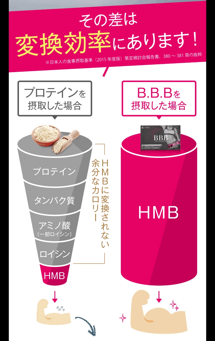 プロテインは筋肉に変換されるまでの過程がHMBと比べて多い