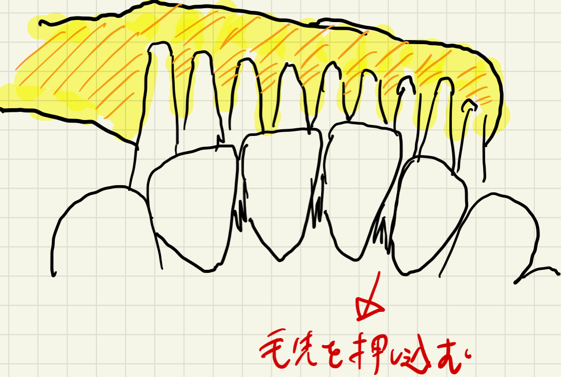 歯と歯の間に毛先を押し込んで反対側まで通して抜きます