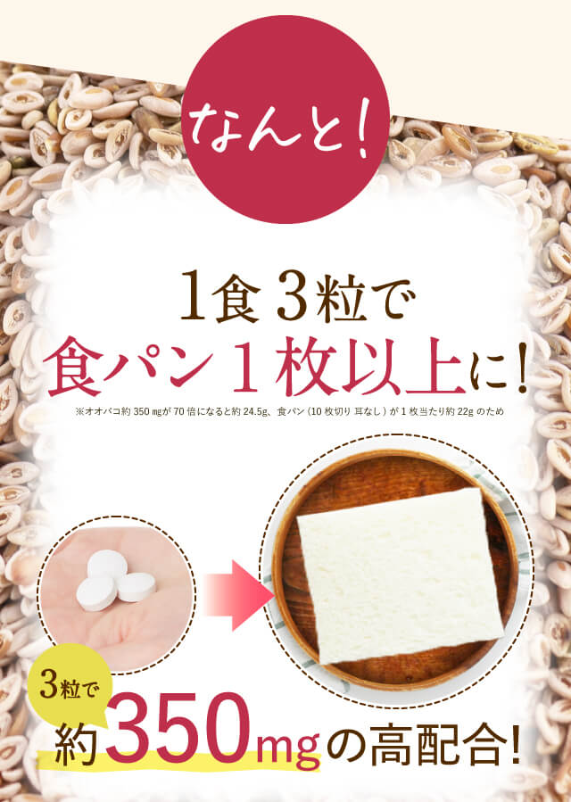 食パン1枚以上に膨らむオオバコがお腹をたっぷり満たしてくれる