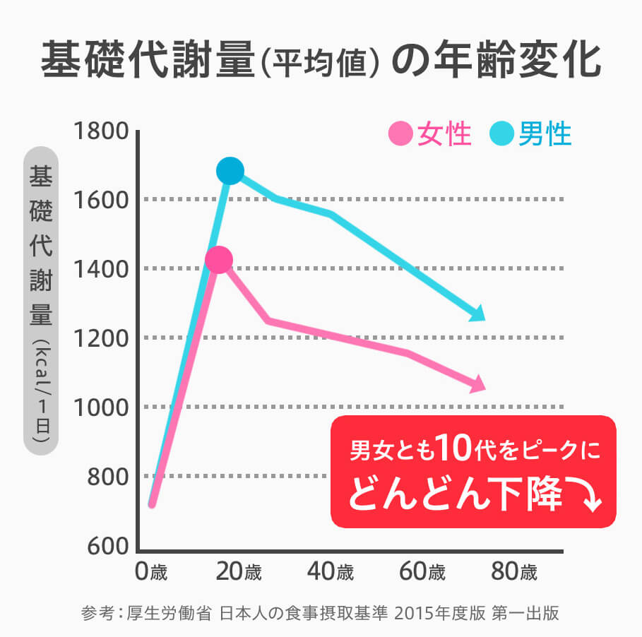 基礎代謝量はどんどん下がっていく