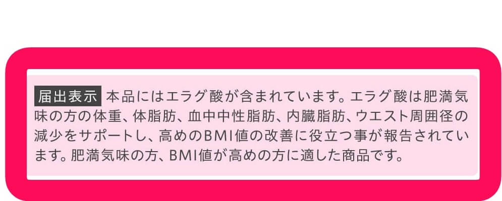 届出表示も