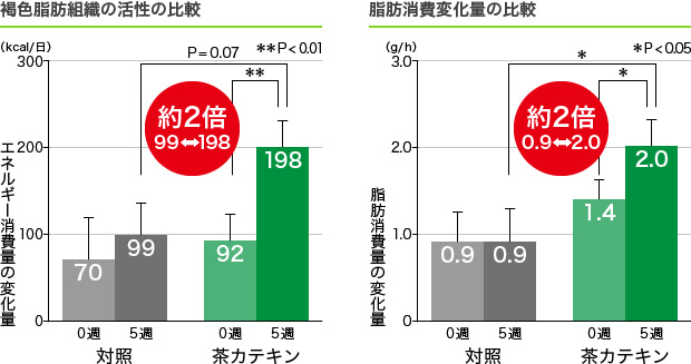 北海道大学 斉藤昌之名誉教授との共同研究