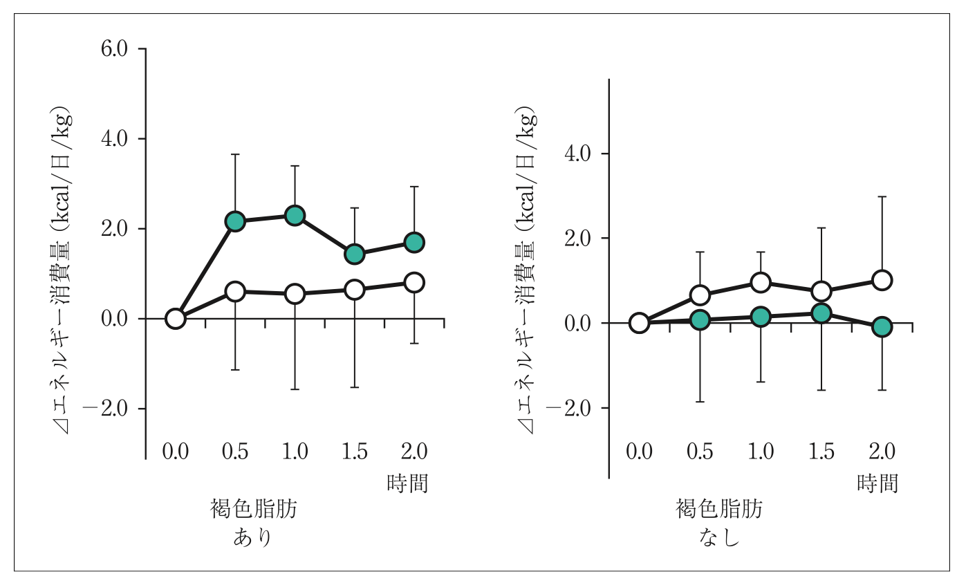 カプシノイド摂取によるエ ネルギー消費の亢進と褐色脂肪の 寄与